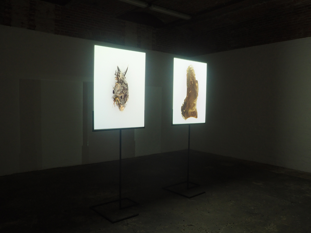 Sibylle Eimermacher, Martin Brandsma