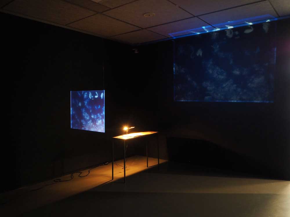 Sibylle Eimermacher, Martin Brandsma