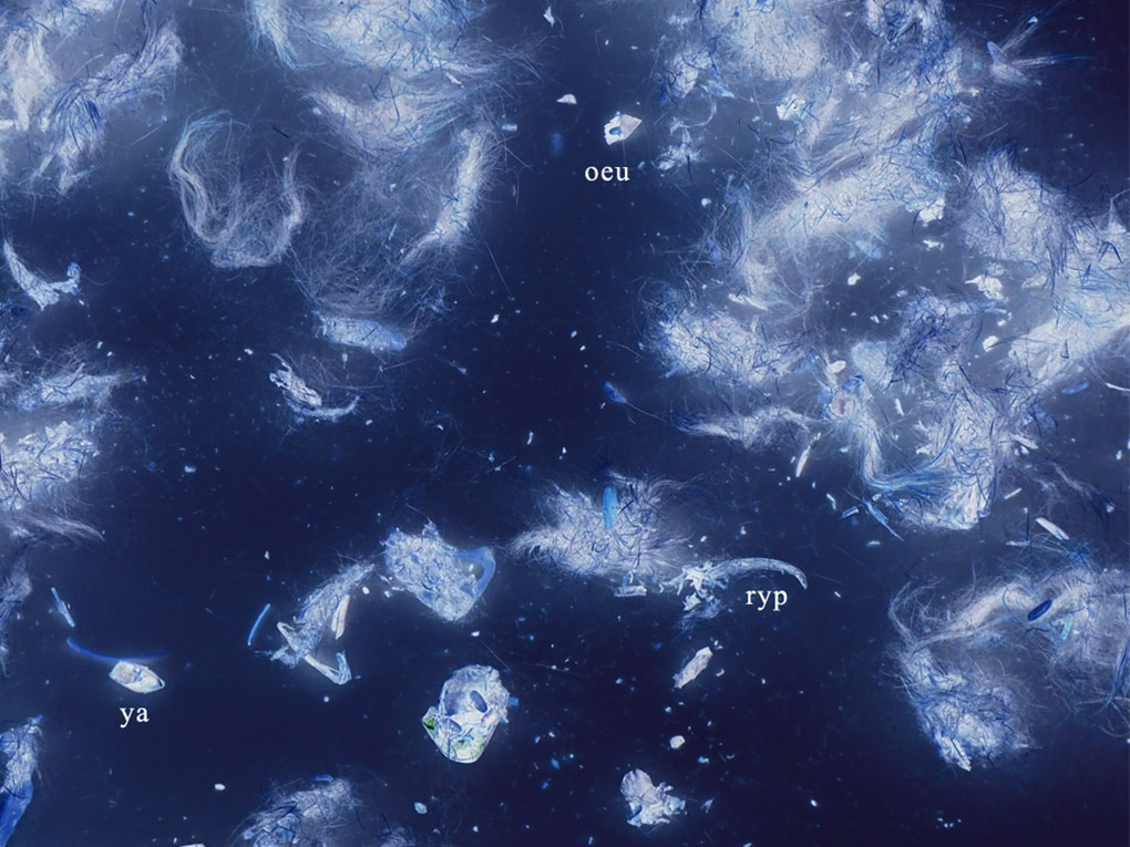 Sibylle Eimermacher, Martin Brandsma