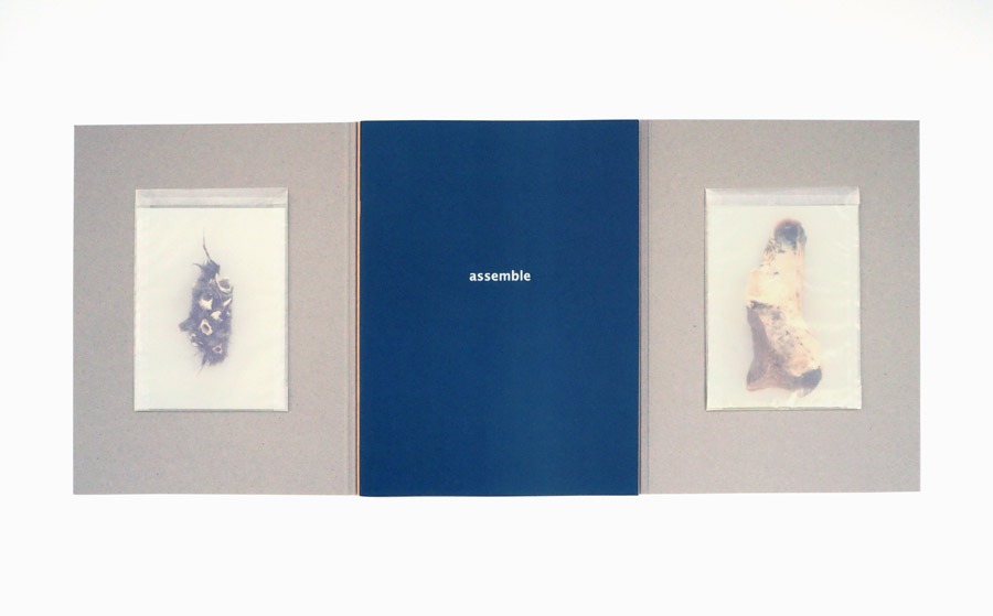 Sibylle Eimermacher & Martin Brandsma, book Archives of absence, archives of presence