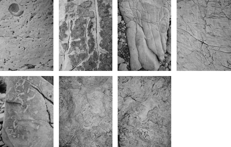 Sibylle Eimermacher, photography