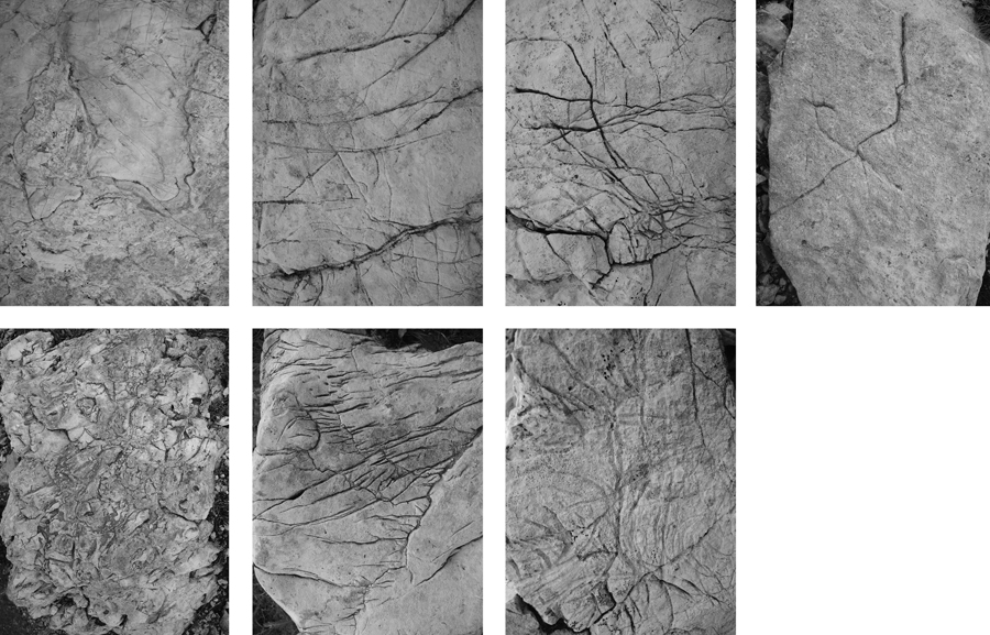 Sibylle Eimermacher, photography