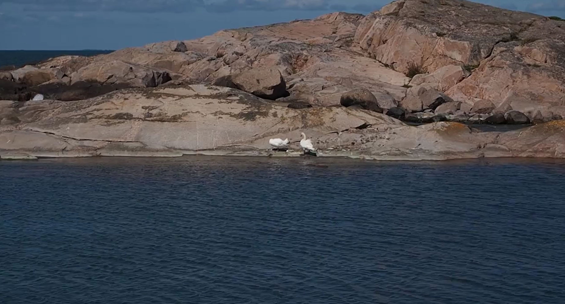 Sibylle Eimermacher, video