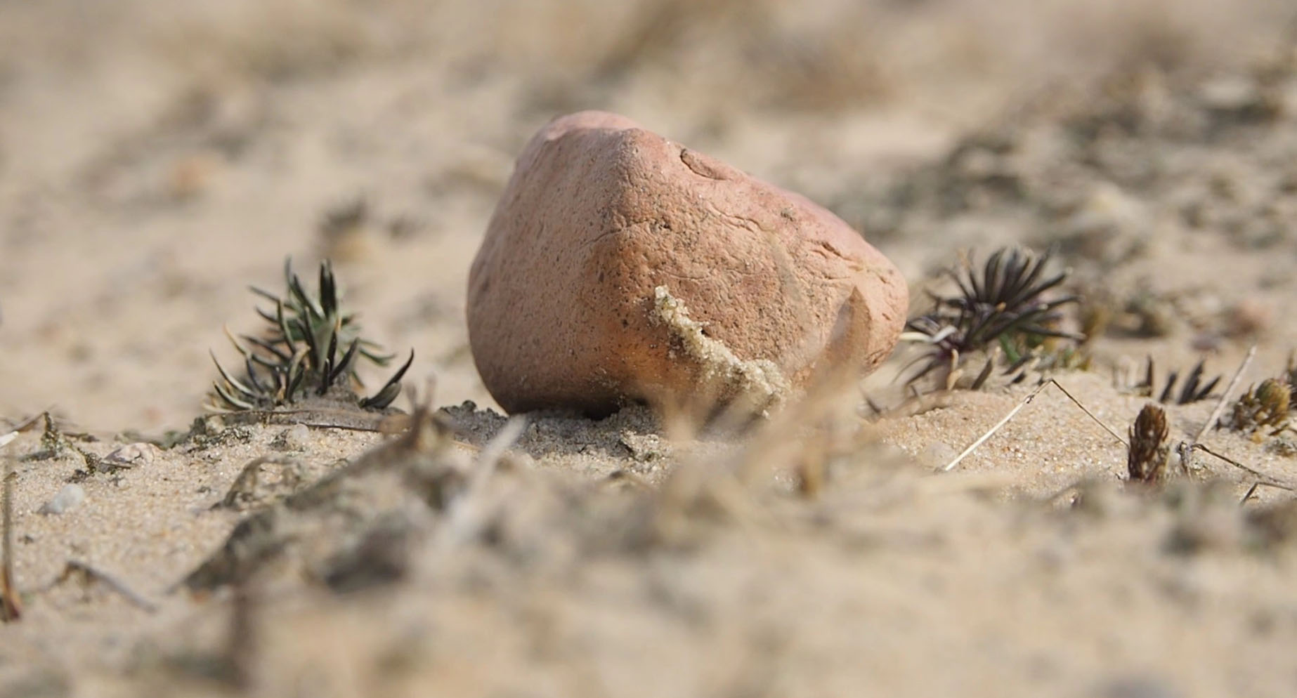 Sibylle Eimermacher, video