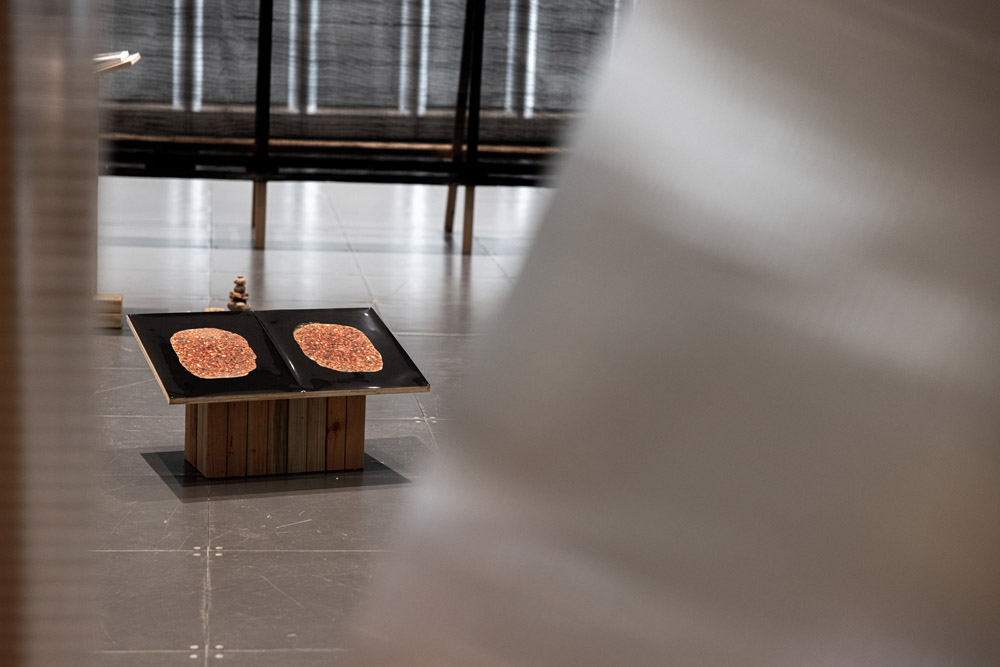 Sibylle Eimermacher, a guide through hue