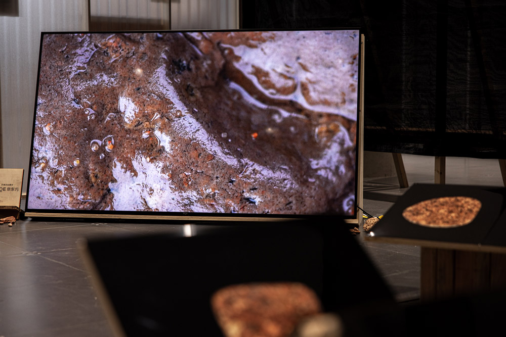 Sibylle Eimermacher, a guide through hue