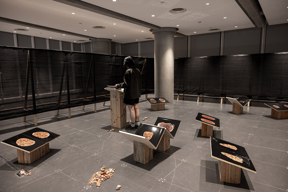 Sibylle Eimermacher, a guide through hue