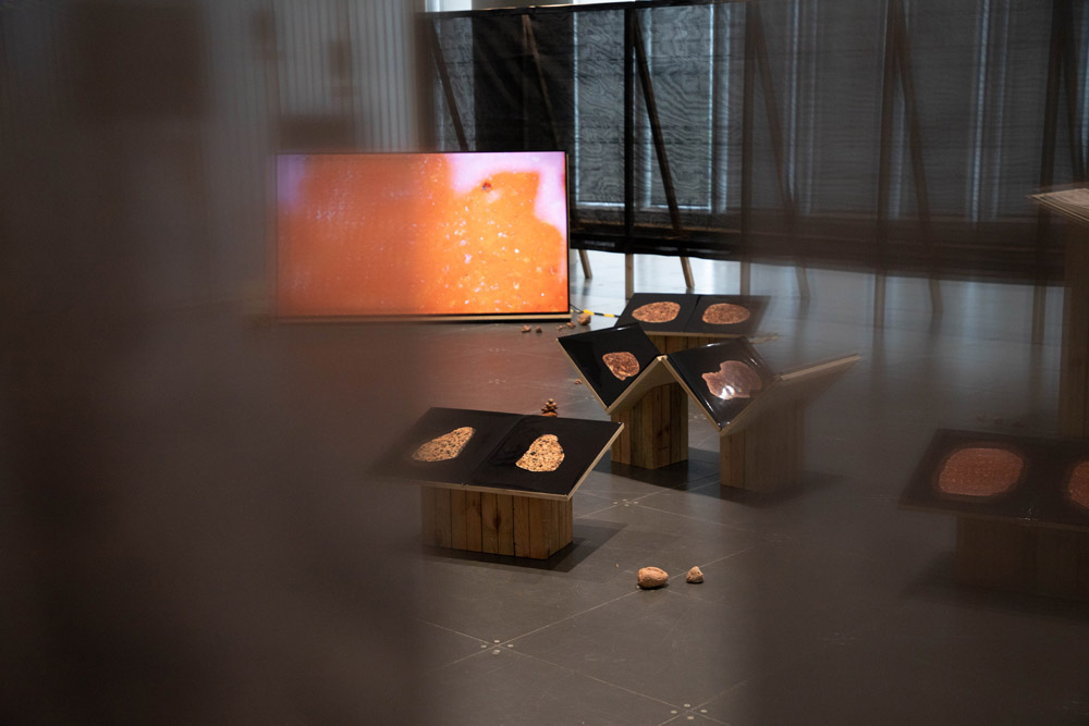 Sibylle Eimermacher, a guide through hue