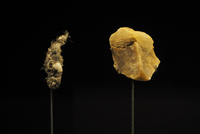 Sibylle Eimermacher & Martin Brandsma, Archives of absence, archives of presence